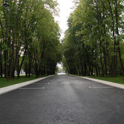 DSC07346