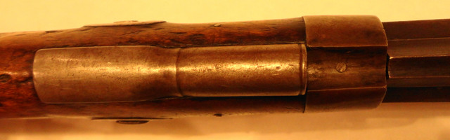 WYHawk-Under-Tip