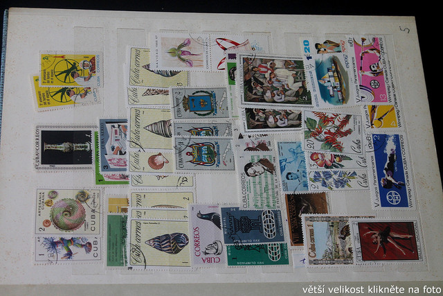 IMG-3494.jpg