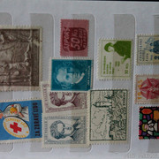 IMG-6813