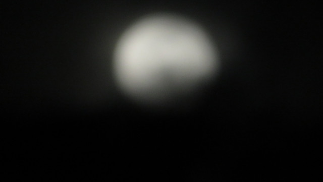 Pmoon-061.jpg