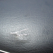 IMG-3502