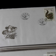 IMG-2531