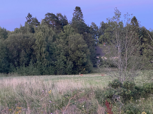 8-B633408-E907-4951-9324-754-BFCD7-AF0-B