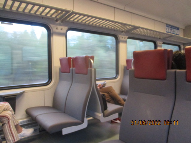 196.jpg
