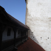 IMG-0892