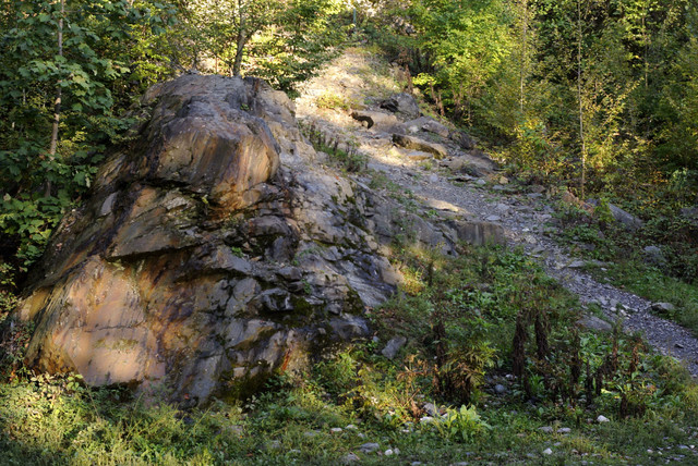 DSC7103.jpg