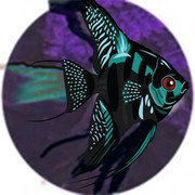 pangel6