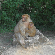 IMG-20200709-181053