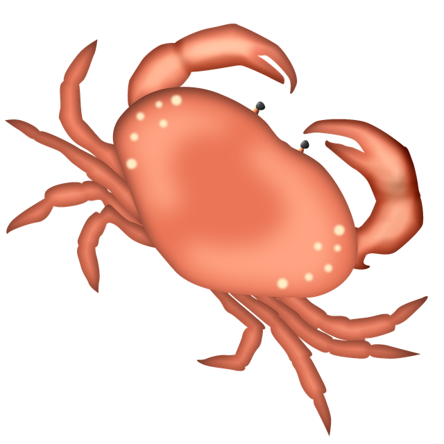 CCC-Beachside-ele-24.png