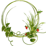 cluster-frame-47