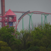 DSC08772