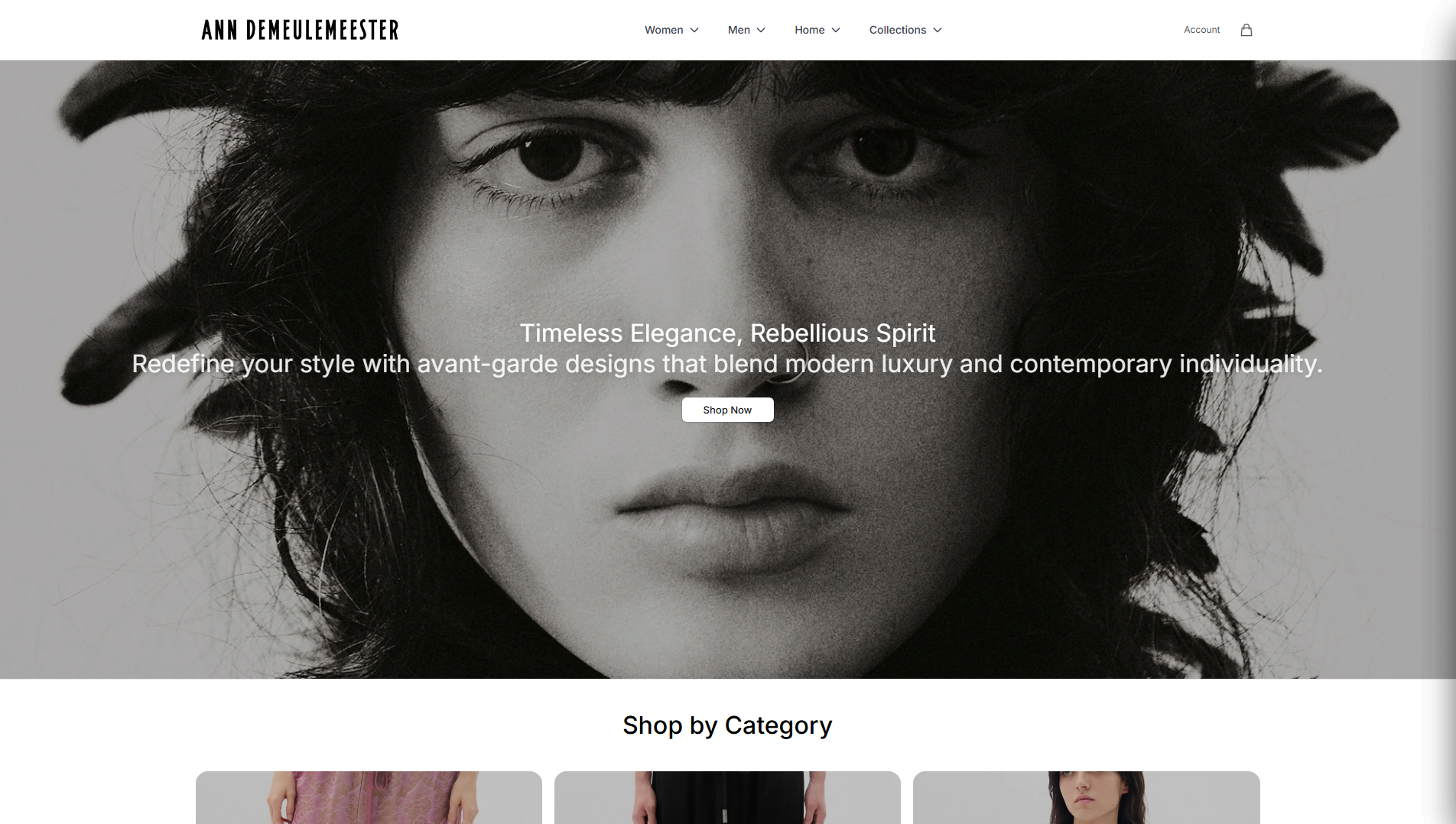 Stored capture of anndemeulemeesteronline.shop