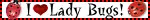 IMG 2577.gif