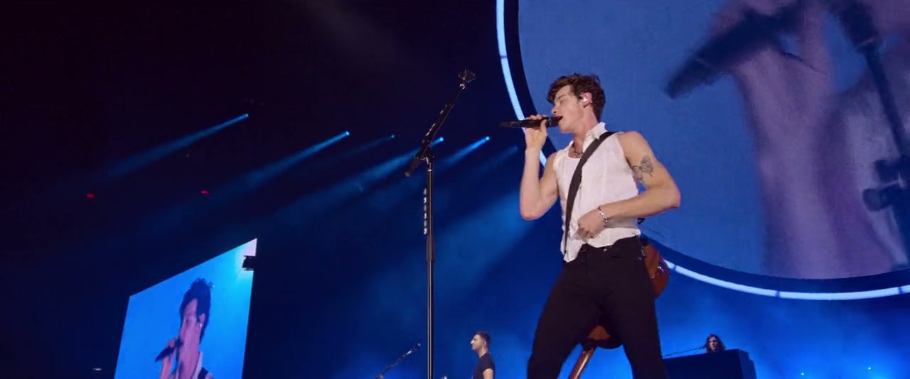 Shawn Mendes: Live in Concert Screenshot