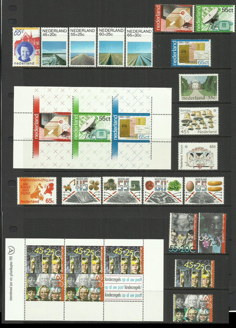 1981.jpg