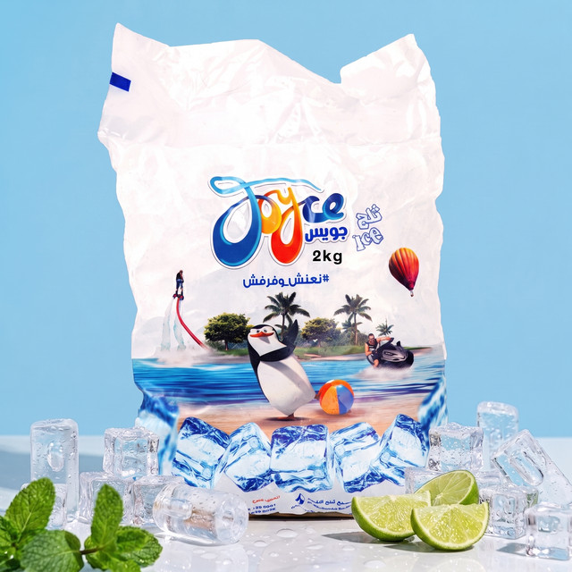 كيس ثلج 2 كيلو
