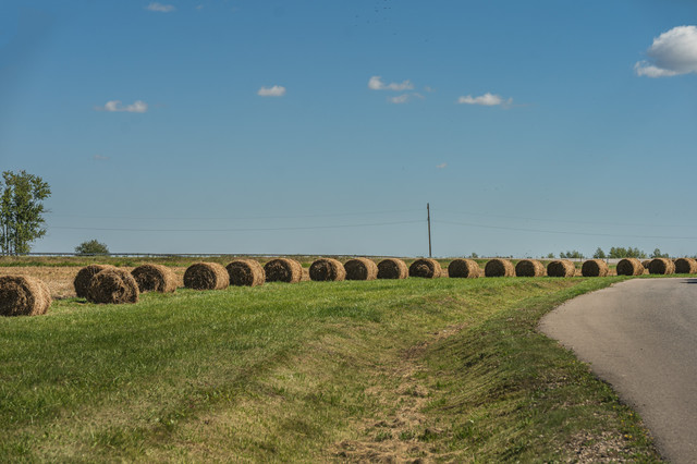 A7300427.jpg