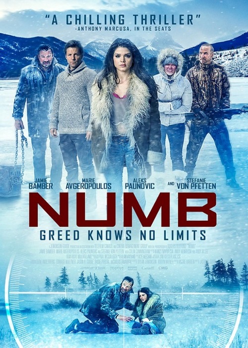 Śnieżna śmierć / Numb (2015) PL.1080p.WEB-DL.X264-Kbuso | Lektor PL