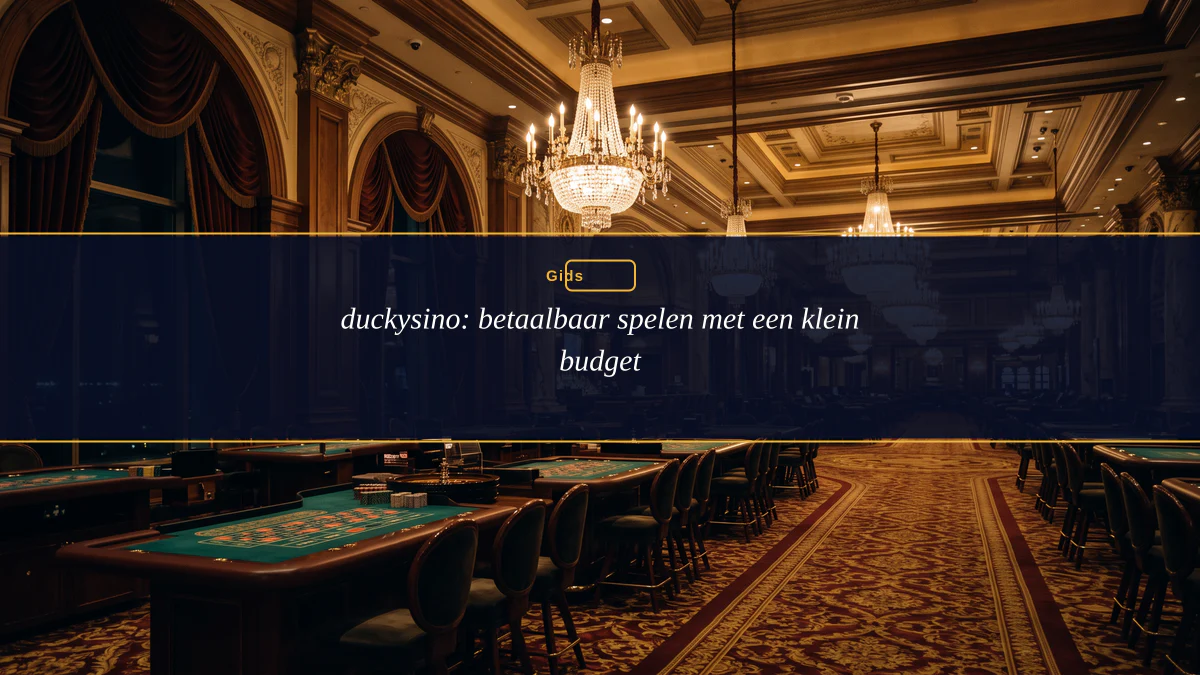 duckysino: betaalbaar spelen met een klein budget