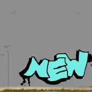 Graffiti artwork by leo