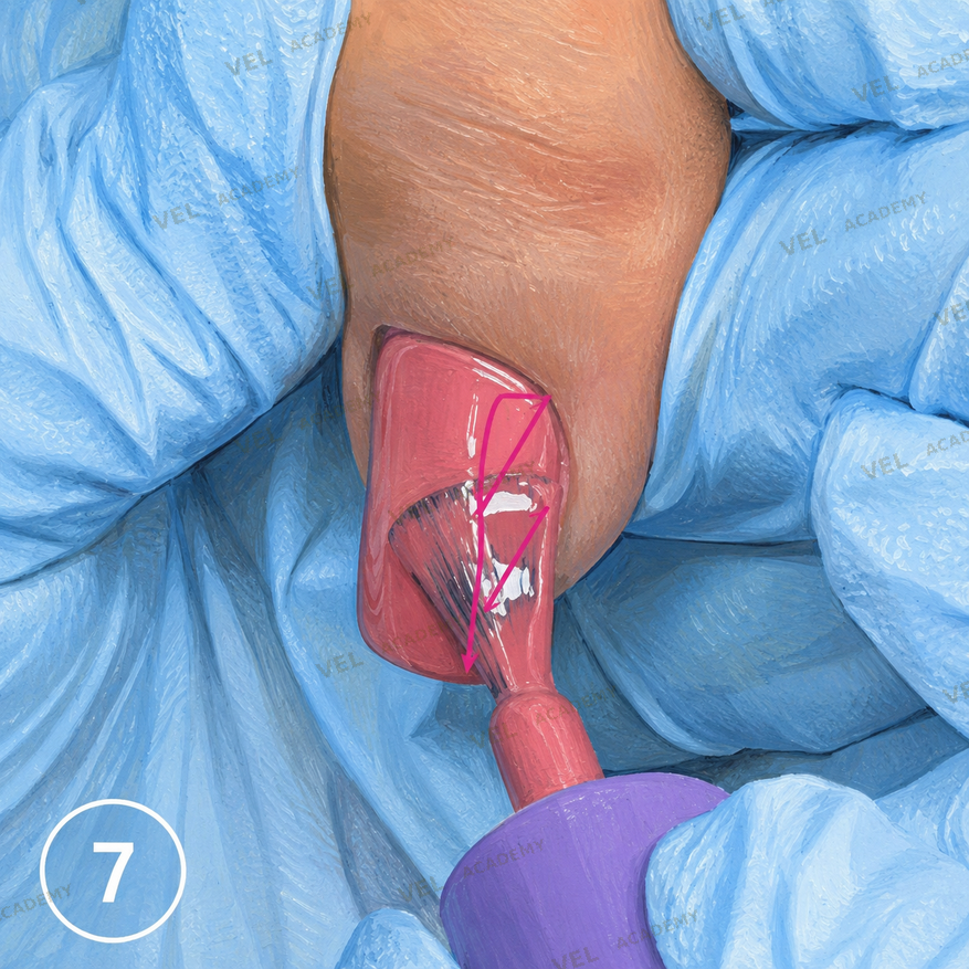 Fine brush wrapping cuticle zone second colour layer step 4