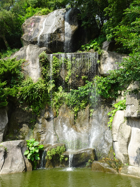 DSC00461.jpg