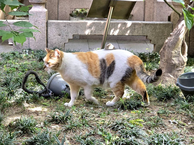 123.jpg