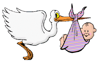 babystork.gif