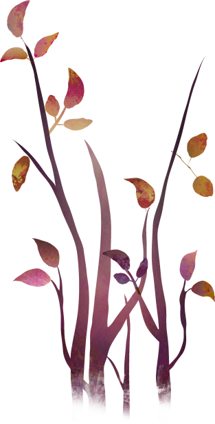 Stems2.png