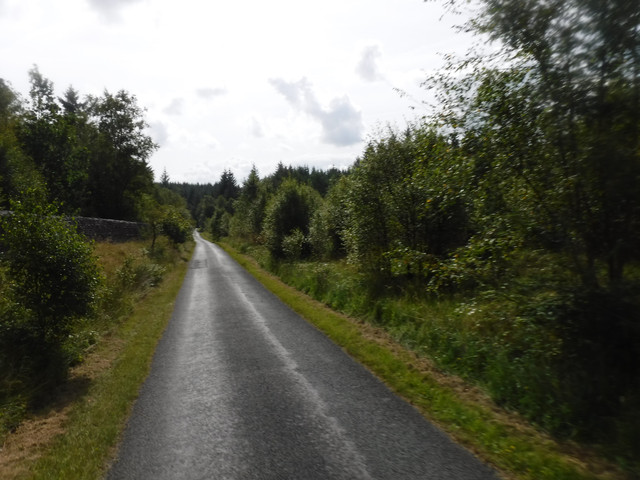 DSCF0207.jpg