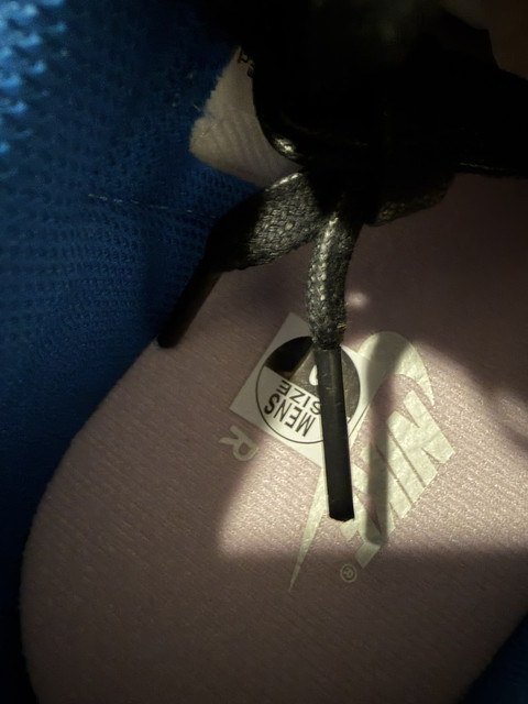 IMG 5032.jpg