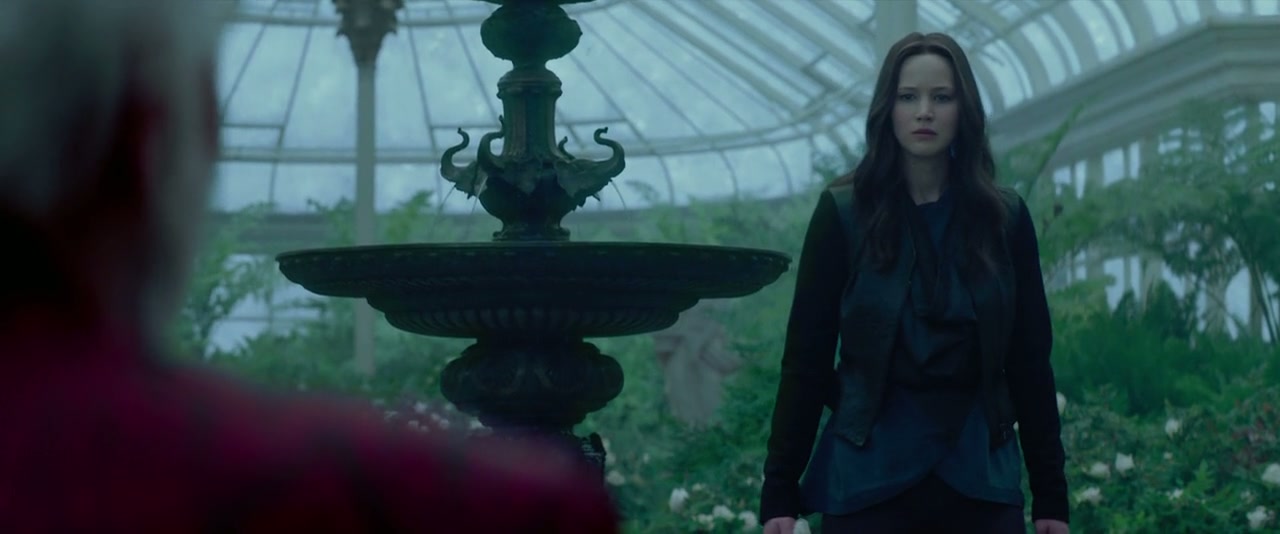 The Hunger Games: Mockingjay - Part 2 Screenshot