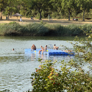 IMG 7884