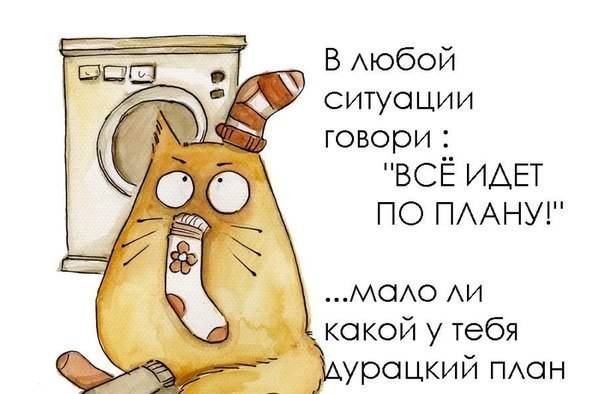 Всё идёт по плану.jpg