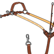 martingaali15 1 1