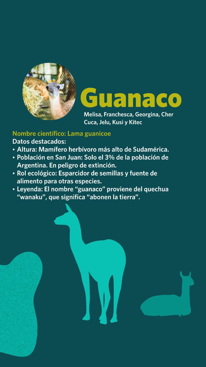 NIÑOS-VOTAN-3.jpeg