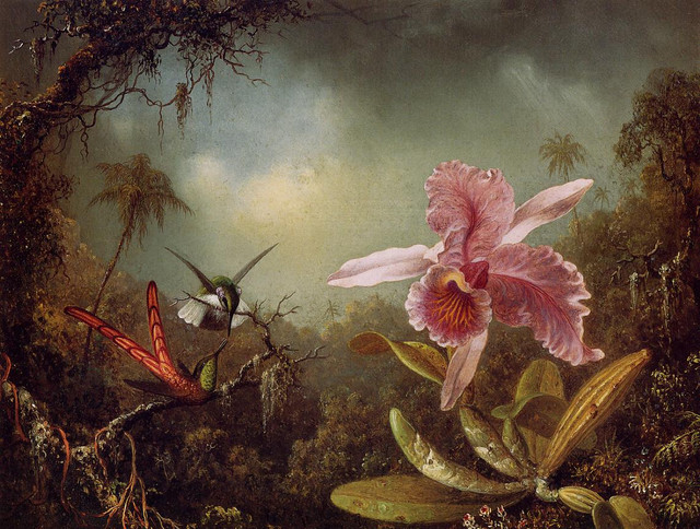 Orchid-with-Two-Hummingbirds