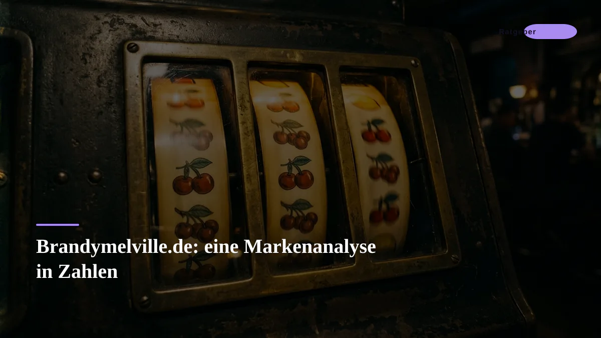 Brandymelville.de: eine Markenanalyse in Zahlen