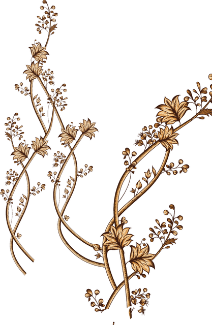 46291a85bfb0bb6fc18b5713cb0e5d0e.png