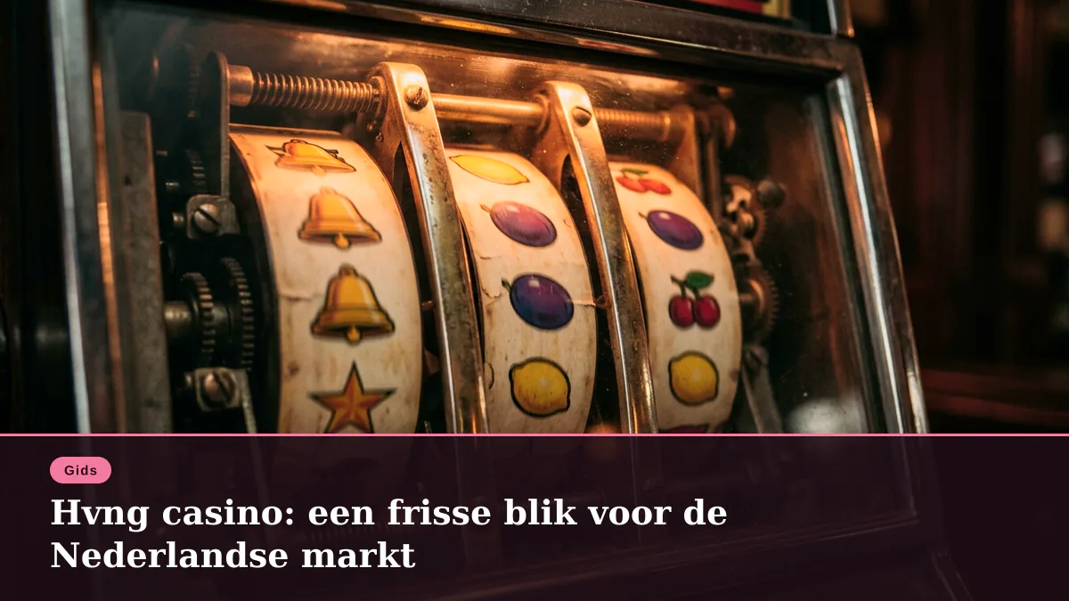 Hvng casino: een frisse blik voor de Nederlandse markt
