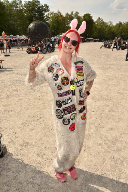 DSC 6331