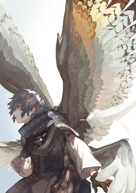 crow.jpg