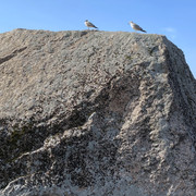 IMG-3026