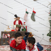 IMG 7955
