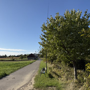 IMG-0360