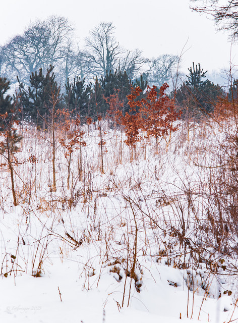 L1021435.jpg