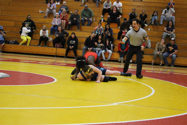 IMG-0771