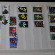 IMG-9598