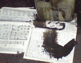 https://i.ibb.co/CKxk38LM/3494-2.jpg